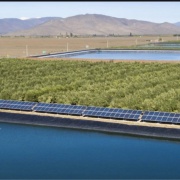 VENTA DE CAMPO OLIVÍCOLA PREMIUM, VALLE DEL LIMARÍ