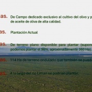 VENTA DE CAMPO OLIVÍCOLA PREMIUM, VALLE DEL LIMARÍ