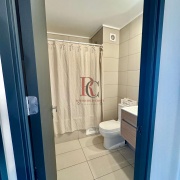 MAGNIFICO DEPARTAMENTO DÚPLEX EN PROVIDENCIA CON AZOTEA PROPIA