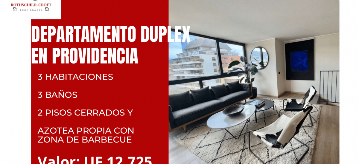 MAGNIFICO DEPARTAMENTO DÚPLEX EN PROVIDENCIA CON AZOTEA PROPIA MAGNIFICO DEPARTAMENTO DÚPLEX EN PROVIDENCIA CON AZOTEA PROPIA