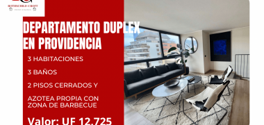 MAGNIFICO DEPARTAMENTO DÚPLEX EN PROVIDENCIA CON AZOTEA PROPIA