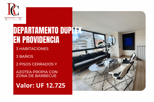 MAGNIFICO DEPARTAMENTO DÚPLEX EN PROVIDENCIA CON AZOTEA PROPIA