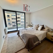 FANTÁSTICO DEPARTAMENTO TRIPLEX CON PATIO PRIVADO EN PROVIDENCIA 