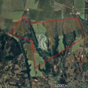CAMPO DE 560 HECTÁREAS, GALVARINO, REGIÓN DE LA ARAUCANÍA