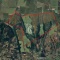 CAMPO DE 560 HECTÁREAS, GALVARINO, REGIÓN DE LA ARAUCANÍA