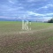 CAMPO DE 560 HECTÁREAS, GALVARINO, REGIÓN DE LA ARAUCANÍA