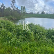 CAMPO DE 560 HECTÁREAS, GALVARINO, REGIÓN DE LA ARAUCANÍA
