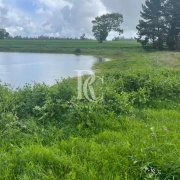 CAMPO DE 560 HECTÁREAS, GALVARINO, REGIÓN DE LA ARAUCANÍA