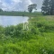 CAMPO DE 560 HECTÁREAS, GALVARINO, REGIÓN DE LA ARAUCANÍA
