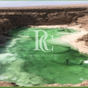 VENTA DE SALAR DE LITIO, REGIÓN DE TARAPACÁ 
