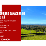 PROPIEDAD GANADERA DE 700 HECTÁREAS, FRESIA, REGIÓN DE LOS LAGOS