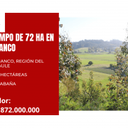 PROPIEDAD DE 72 HECTÁREAS, CHANCO, REGIÓN DEL MAULE