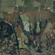 CAMPO DE 560 HECTÁREAS, GALVARINO, REGIÓN DE LA ARAUCANÍA