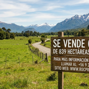 CAMPO DE 839 HECTÁREAS EN VENTA/LAND FOR SALE IN THE SOUTH OF CHILE