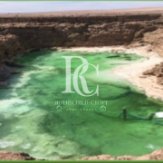 VENTA DE SALAR DE LITIO, REGIÓN DE TARAPACÁ 