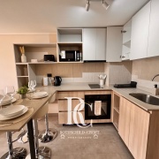 DEPARTAMENTO AMOBLADO EN ARRIENDO, ÑUÑOA