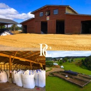 PROPIEDAD GANADERA DE 700 HECTÁREAS, FRESIA, REGIÓN DE LOS LAGOS