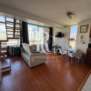 MAGNÍFICO DEPARTAMENTO LOFT EN ARRIENDO, SANTIAGO CENTRO