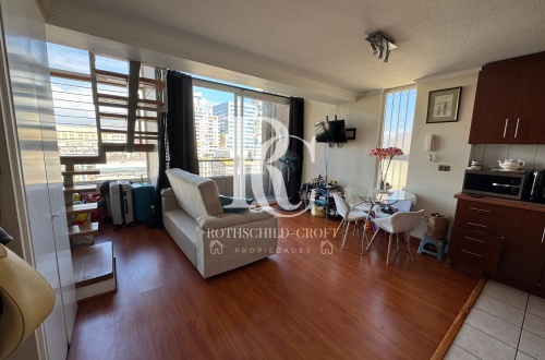 MAGNÍFICO DEPARTAMENTO LOFT EN ARRIENDO, SANTIAGO CENTRO