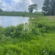 CAMPO DE 560 HECTÁREAS, GALVARINO, REGIÓN DE LA ARAUCANÍA