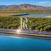 VENTA DE CAMPO OLIVÍCOLA PREMIUM, VALLE DEL LIMARÍ