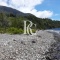 VENTA DE 2.7 HA A ORILLAS DEL LAGO RUPANCO VENTA DE 2.7 HA A ORILLAS DEL LAGO RUPANCO