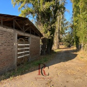 HARAS/CAMPO EN VENTA A 30 MINUTOS DEL CENTRO DE SANTIAGO