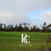 PROPIEDAD DE 72 HECTÁREAS, CHANCO, REGIÓN DEL MAULE