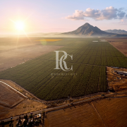 VENTA DE CAMPO OLIVÍCOLA PREMIUM, VALLE DEL LIMARÍ