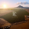 VENTA DE CAMPO OLIVÍCOLA PREMIUM, VALLE DEL LIMARÍ