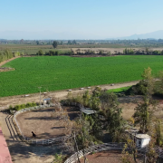 HARAS/CAMPO EN VENTA A 30 MINUTOS DEL CENTRO DE SANTIAGO
