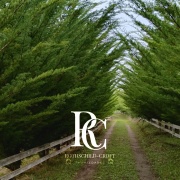 PROPIEDAD DE 72 HECTÁREAS, CHANCO, REGIÓN DEL MAULE