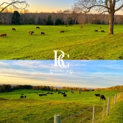 PROPIEDAD GANADERA DE 700 HECTÁREAS, FRESIA, REGIÓN DE LOS LAGOS