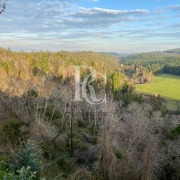CAMPO DE 560 HECTÁREAS, GALVARINO, REGIÓN DE LA ARAUCANÍA