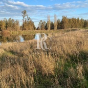 CAMPO DE 560 HECTÁREAS, GALVARINO, REGIÓN DE LA ARAUCANÍA