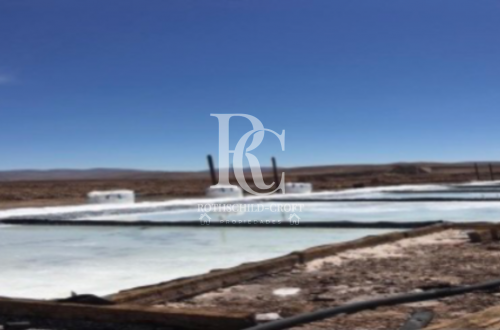 VENTA DE SALAR DE LITIO, REGIÓN DE TARAPACÁ 