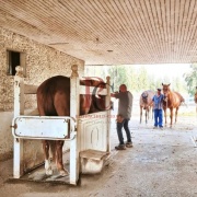 HARAS/CAMPO EN VENTA A 30 MINUTOS DEL CENTRO DE SANTIAGO