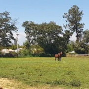 HARAS/CAMPO EN VENTA A 30 MINUTOS DEL CENTRO DE SANTIAGO
