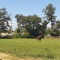 HARAS/CAMPO EN VENTA A 30 MINUTOS DEL CENTRO DE SANTIAGO HARAS/CAMPO EN VENTA A 30 MINUTOS DEL CENTRO DE SANTIAGO