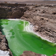 VENTA DE SALAR DE LITIO, REGIÓN DE TARAPACÁ 