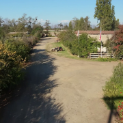 HARAS/CAMPO EN VENTA A 30 MINUTOS DEL CENTRO DE SANTIAGO