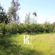 PROPIEDAD DE 72 HECTÁREAS, CHANCO, REGIÓN DEL MAULE