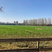 HARAS/CAMPO EN VENTA A 30 MINUTOS DEL CENTRO DE SANTIAGO
