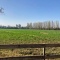 HARAS/CAMPO EN VENTA A 30 MINUTOS DEL CENTRO DE SANTIAGO HARAS/CAMPO EN VENTA A 30 MINUTOS DEL CENTRO DE SANTIAGO