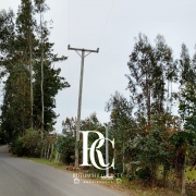 PROPIEDAD DE 72 HECTÁREAS, CHANCO, REGIÓN DEL MAULE