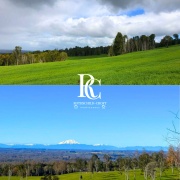 PROPIEDAD GANADERA DE 700 HECTÁREAS, FRESIA, REGIÓN DE LOS LAGOS