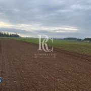 CAMPO DE 560 HECTÁREAS, GALVARINO, REGIÓN DE LA ARAUCANÍA