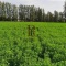 HARAS/CAMPO EN VENTA A 30 MINUTOS DEL CENTRO DE SANTIAGO HARAS/CAMPO EN VENTA A 30 MINUTOS DEL CENTRO DE SANTIAGO