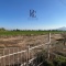 HARAS/CAMPO EN VENTA A 30 MINUTOS DEL CENTRO DE SANTIAGO HARAS/CAMPO EN VENTA A 30 MINUTOS DEL CENTRO DE SANTIAGO