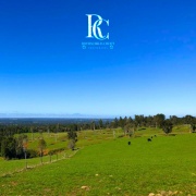 PROPIEDAD GANADERA DE 700 HECTÁREAS, FRESIA, REGIÓN DE LOS LAGOS